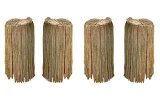 《哪鹅快跑》好玩吗梦想手游联姻金鹰卡通全力打造