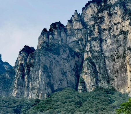 《十六岁的武士道》