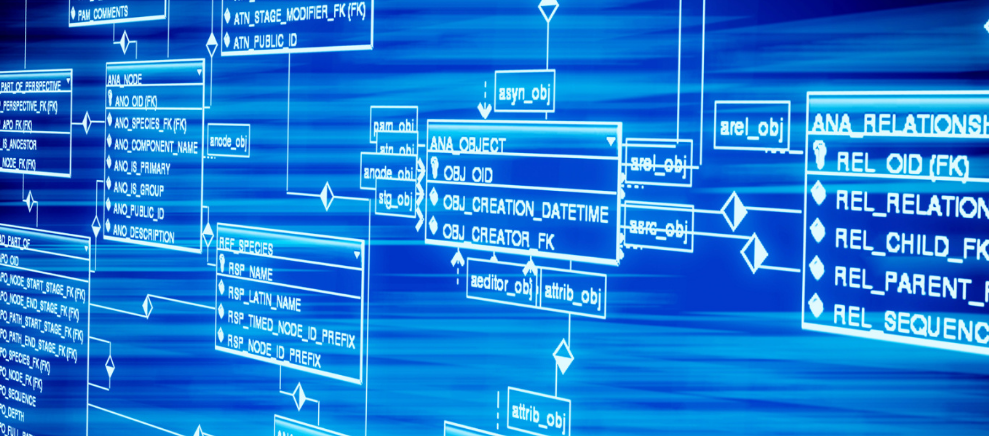 孙悟空的卡通形象画