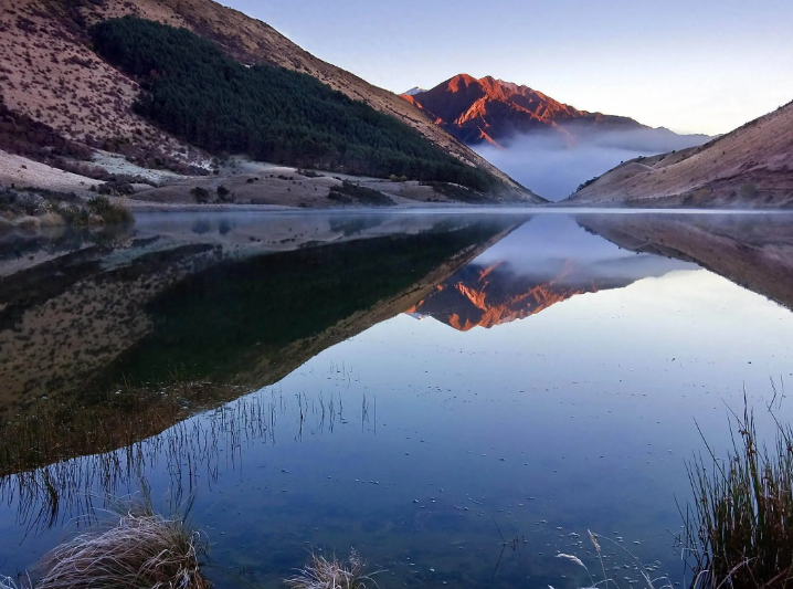 【恭喜】大沢たかお、助演男优赏／映画大赏【大泽隆夫吧】
